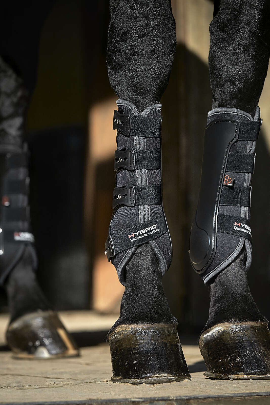 CATAGO Hybrid dressage boot