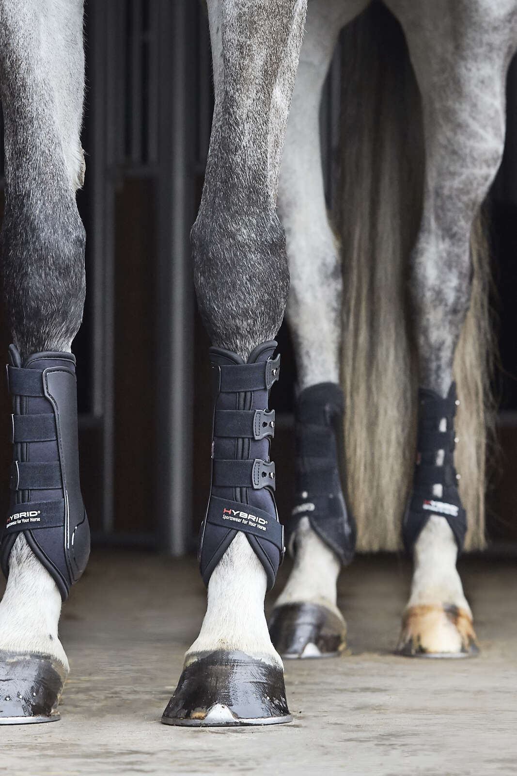 CATAGO Hybrid dressage boot