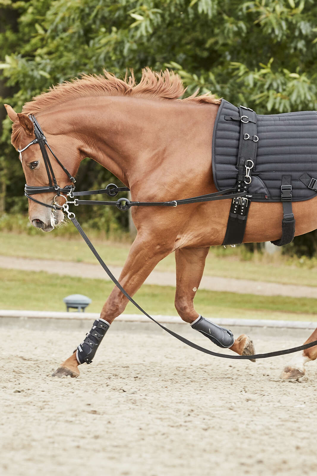 CATAGO Hybrid Training Pad w/ Elastics, Dressage