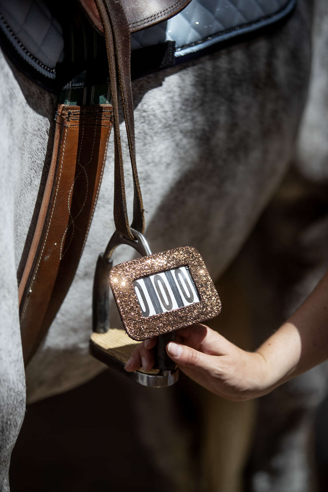 Horse Guard competition number