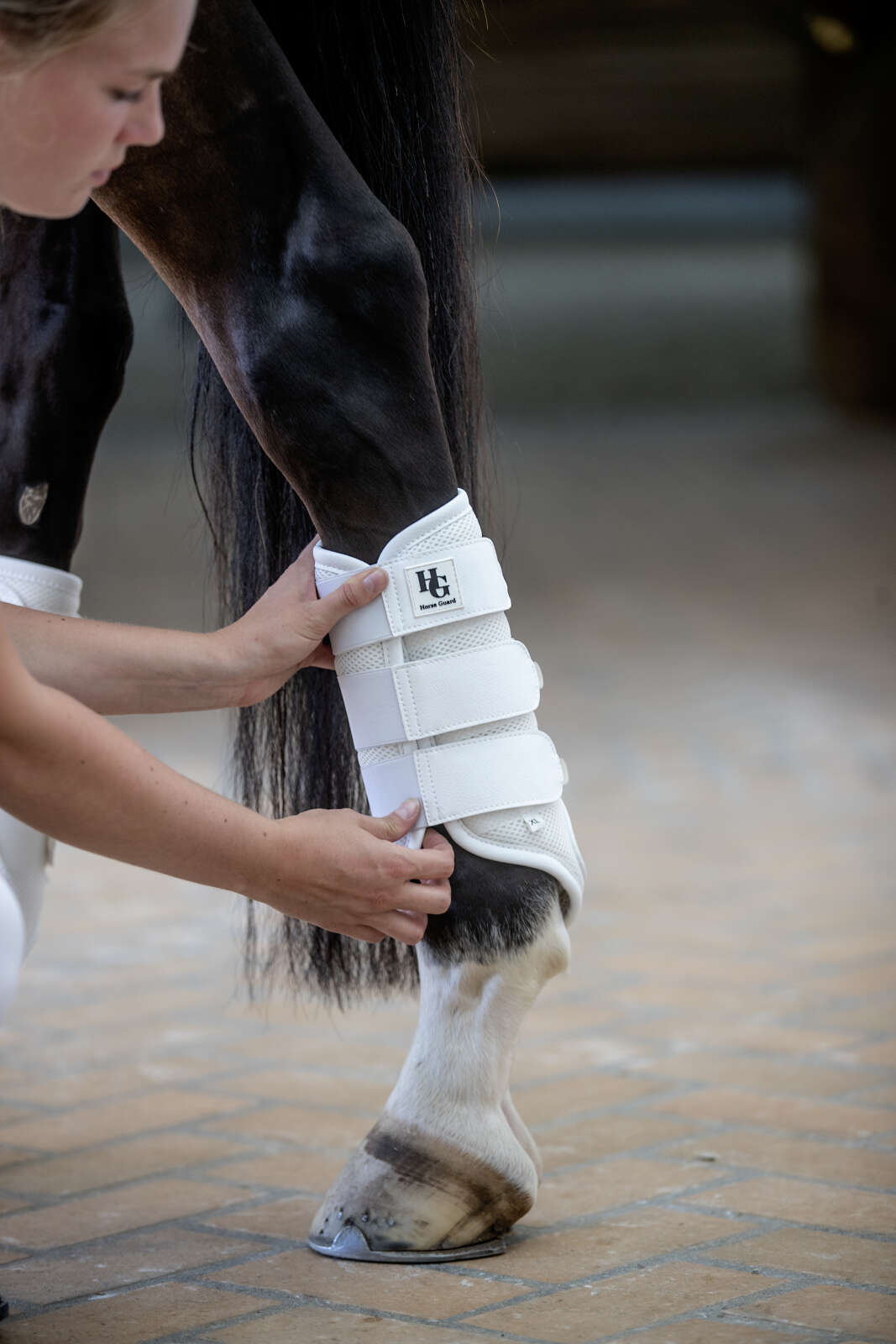 Horse Guard Timothy mesh dressurgamacher