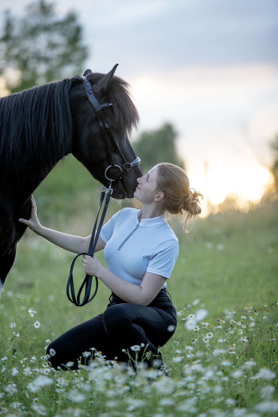 Catago hannoversches Reithalfter für Isländer