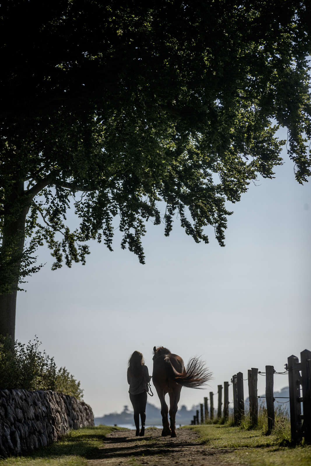 Equipage Miles zip riding jacket