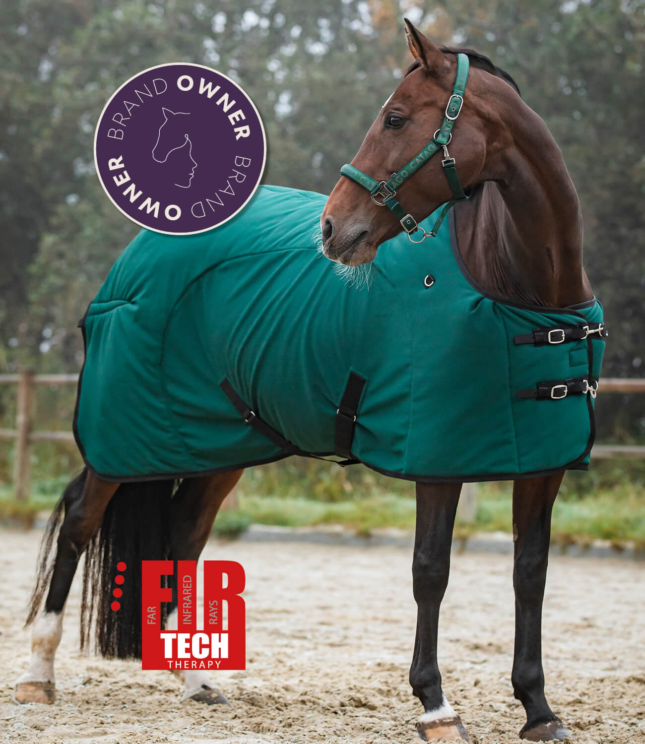 Horse wearing a green blanket with Catago FIR-tech branding in an outdoor setting