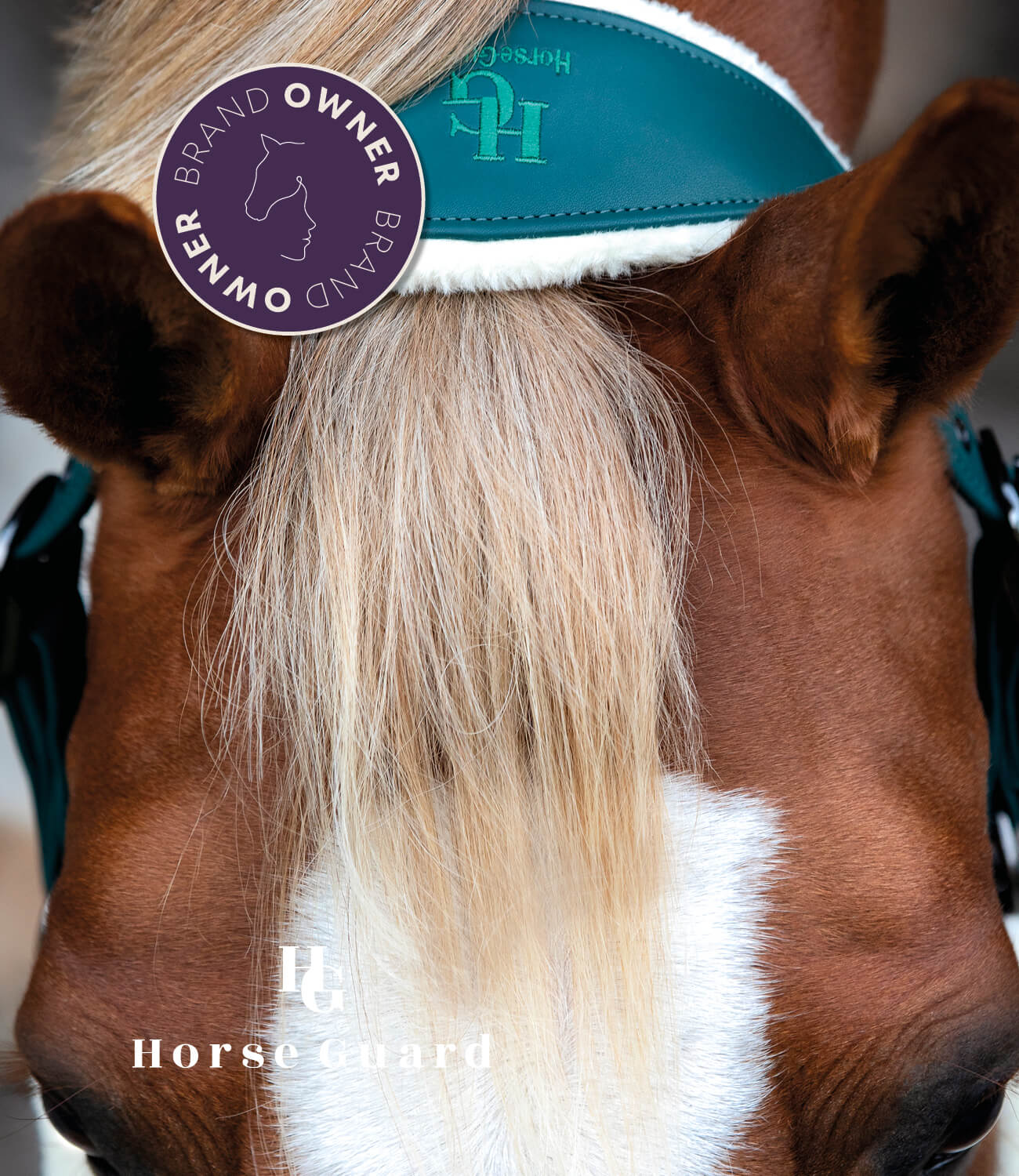 Horse wearing a Horse Guard halter with a visible brand owner badge on a blurred background