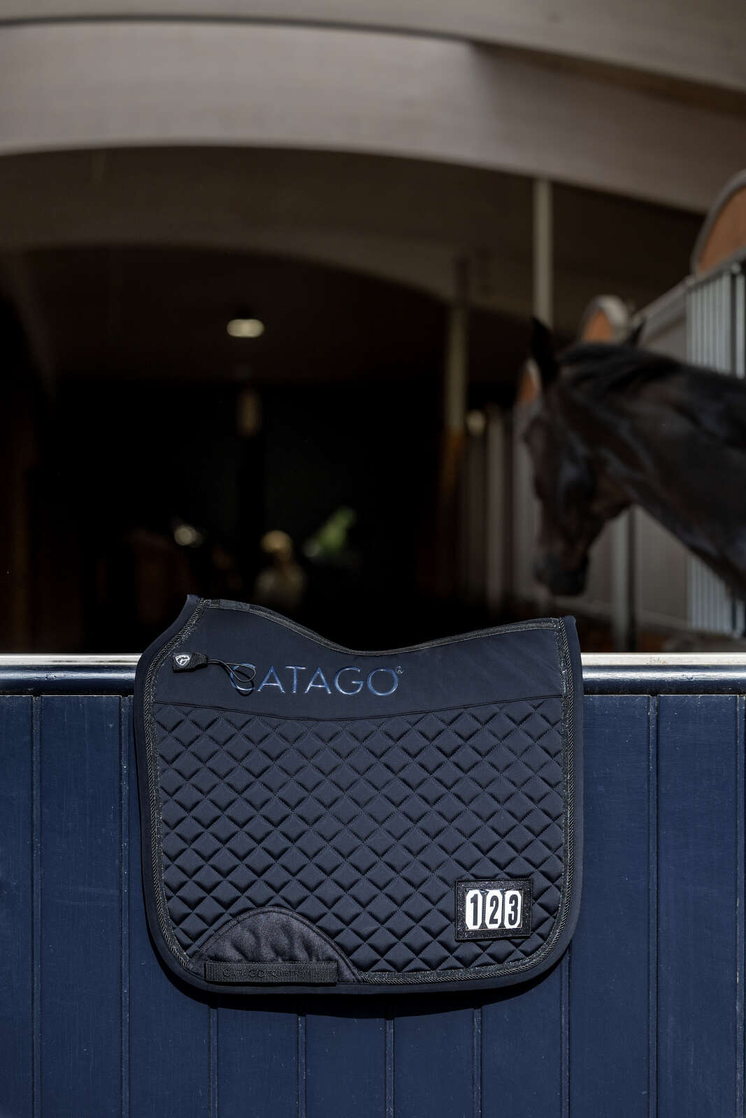 Catago Treasure 2.0 sjabrak, dressur