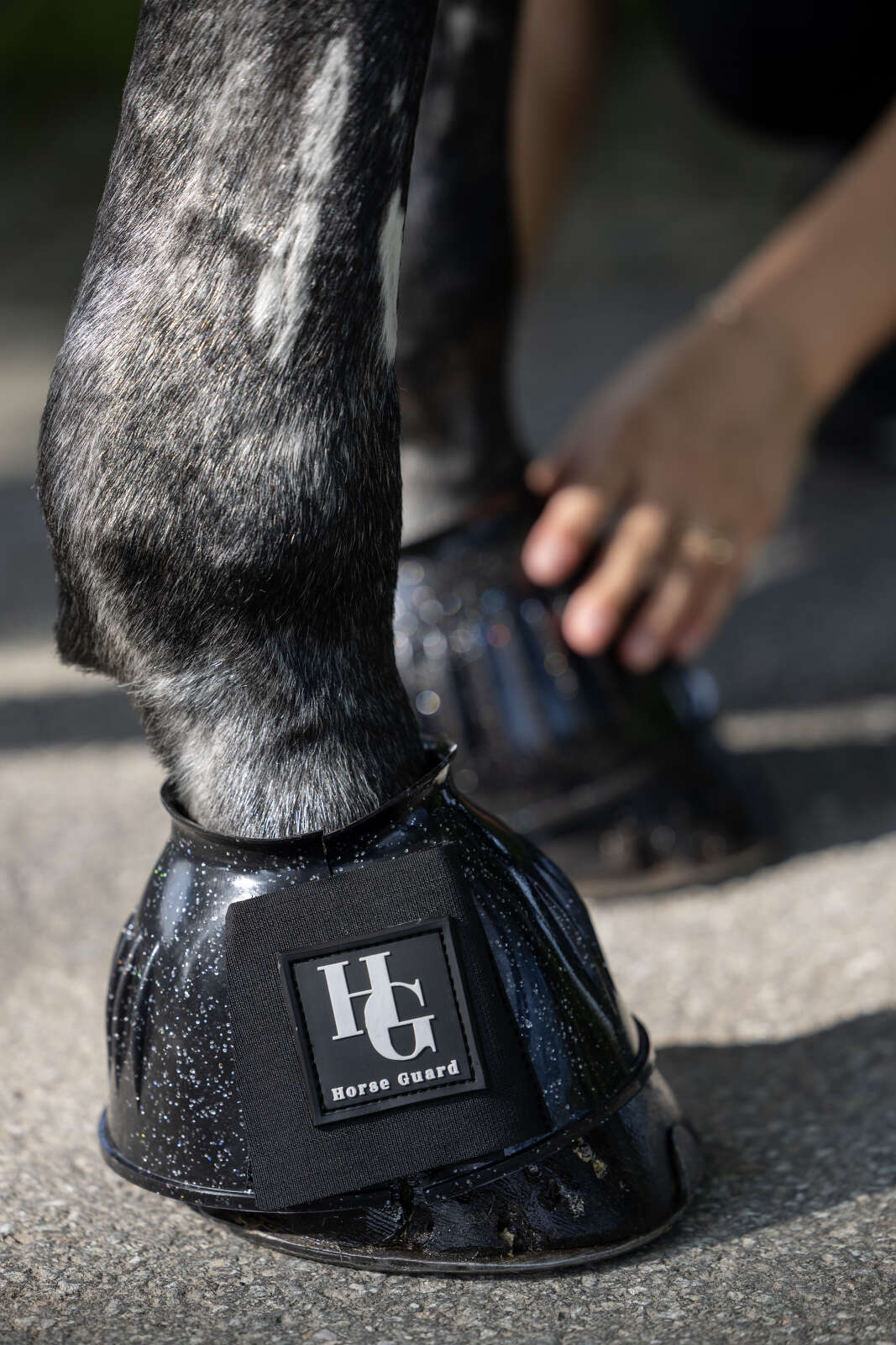 Horse Guard Texas glitter-klokker