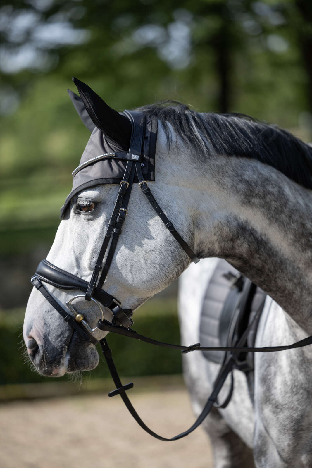 Horse Guard Cryll 26.1 Träns med pullback