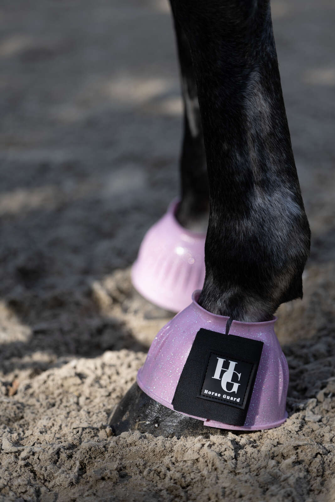 Horse Guard Texas glitter-klokker
