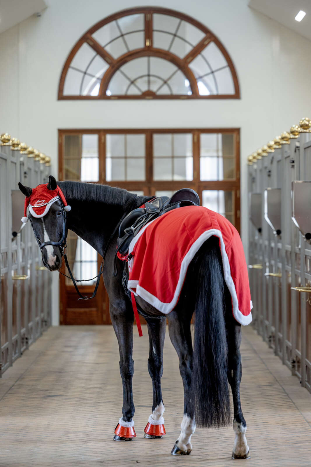 Horse Guard Julridtäcke
