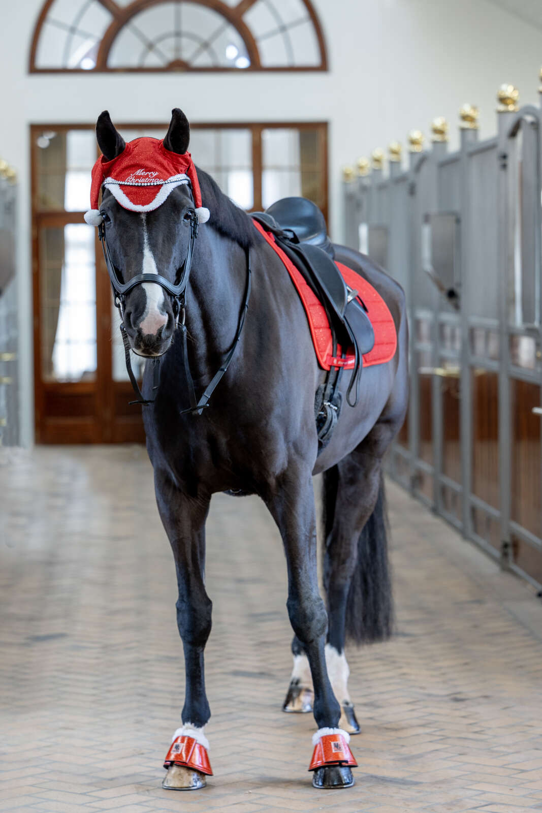 Horse Guard-tomteluva med glitter för häst