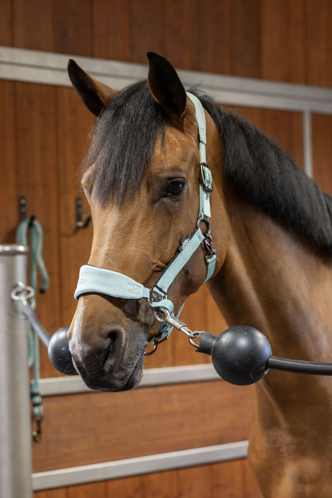 Catago FIR-Tech halter