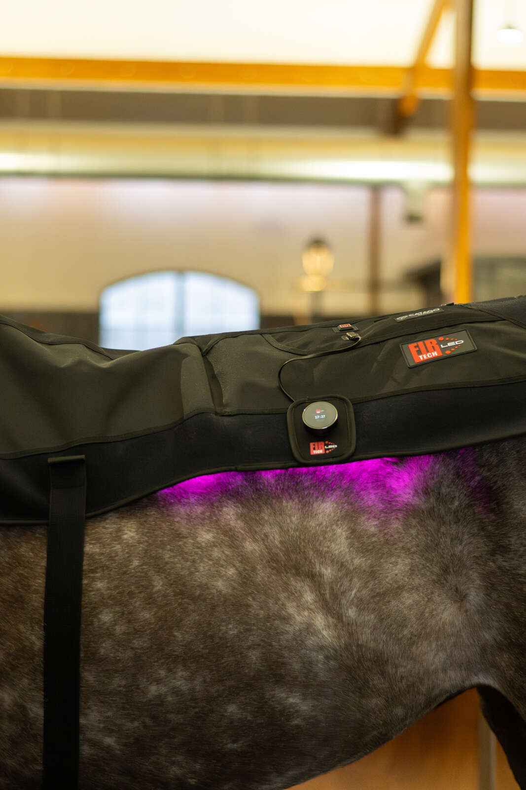 CATAGO FIR-Tech LED therapy pad X84, 115 x 74cm