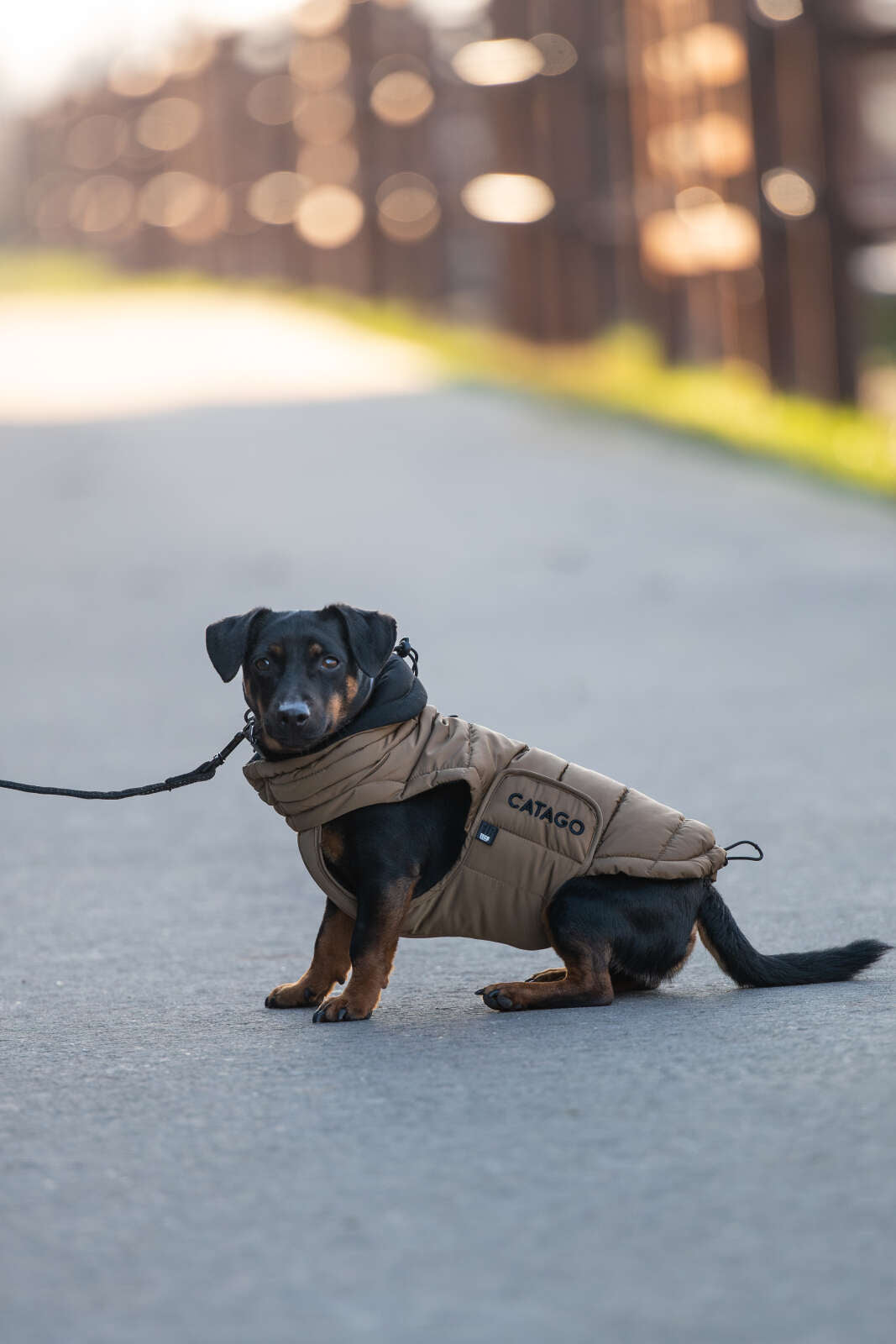 CATAGO FIR-Tech puffer hundedækken