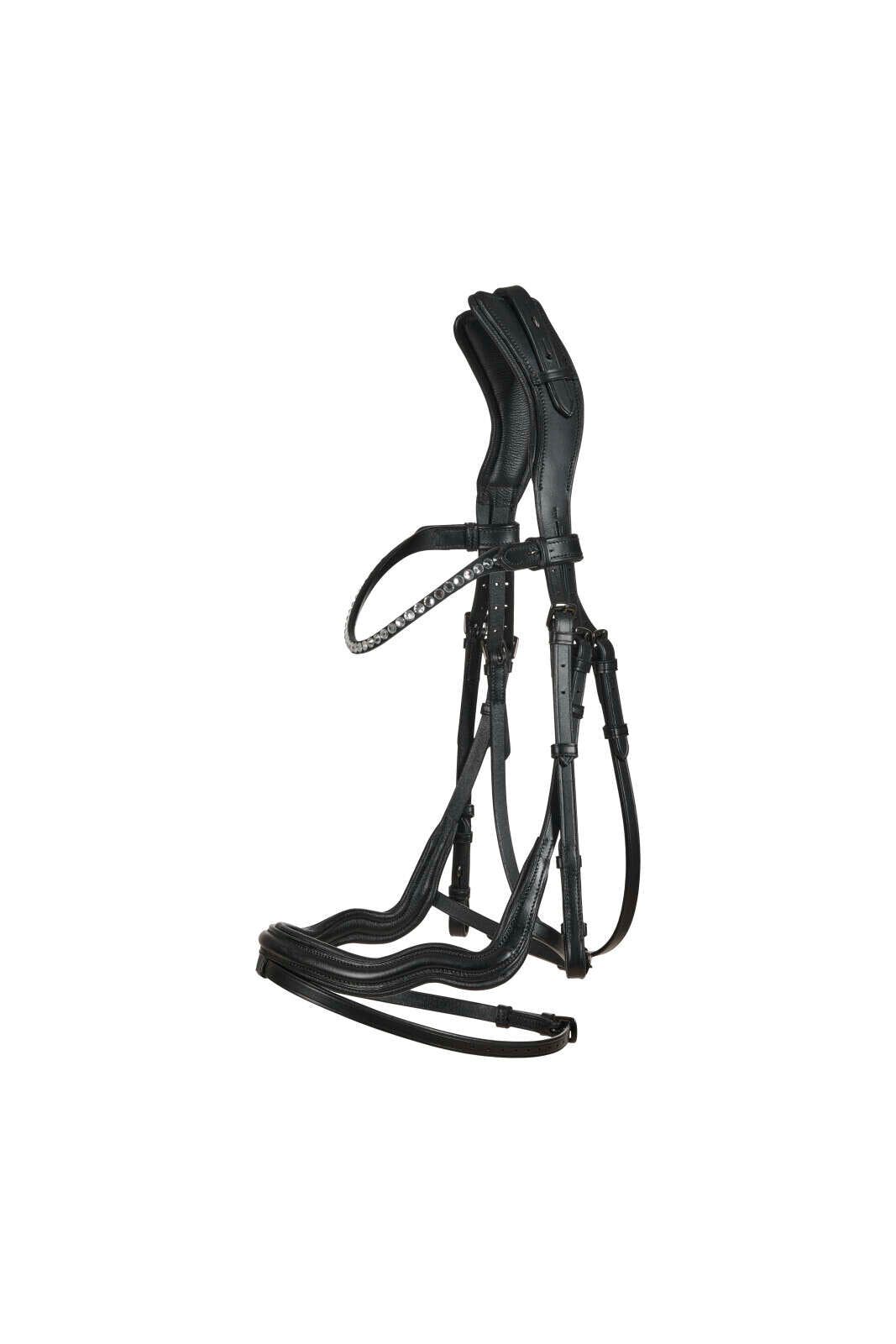 CATAGO Sienna jump bridle with flash