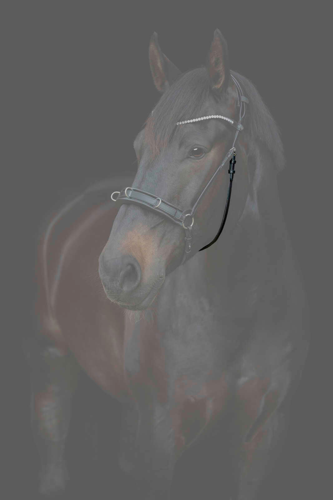 CATAGO Gentle käkrem m/spännen