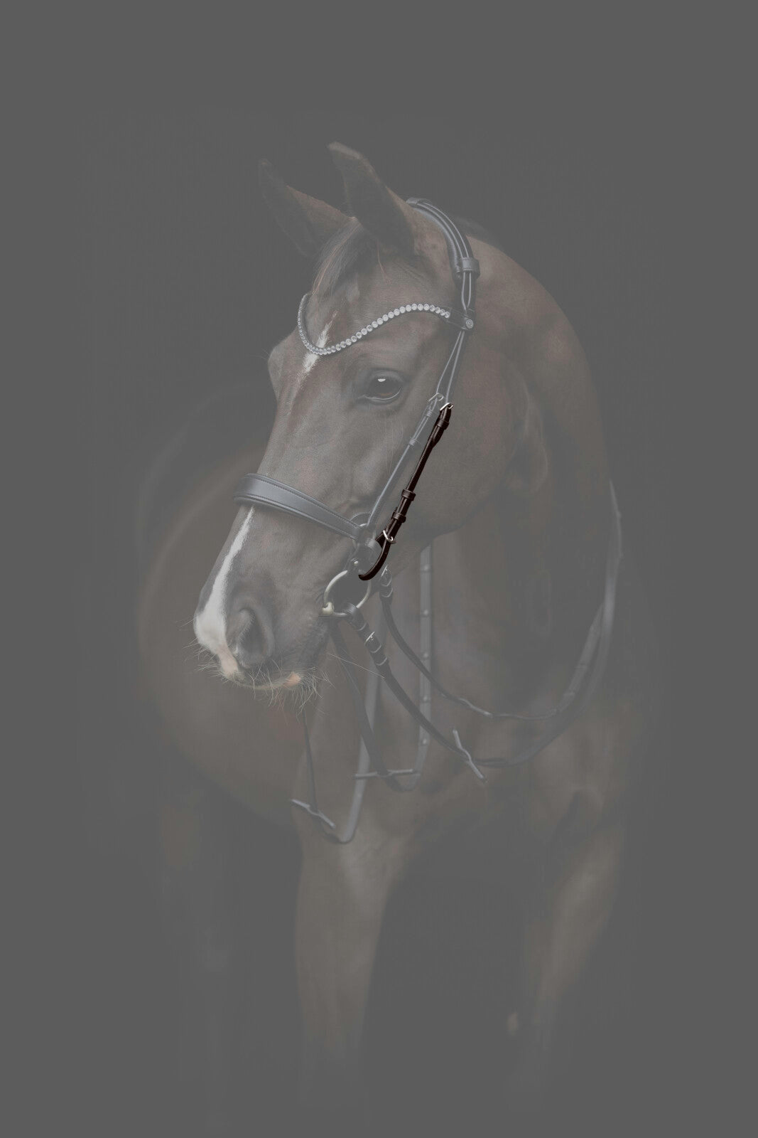 CATAGO Gentle Kindstykker (par)