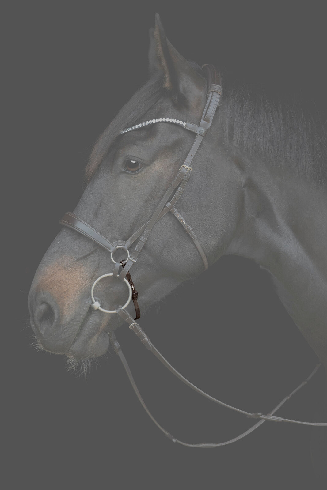 CATAGO Gentle nose strap