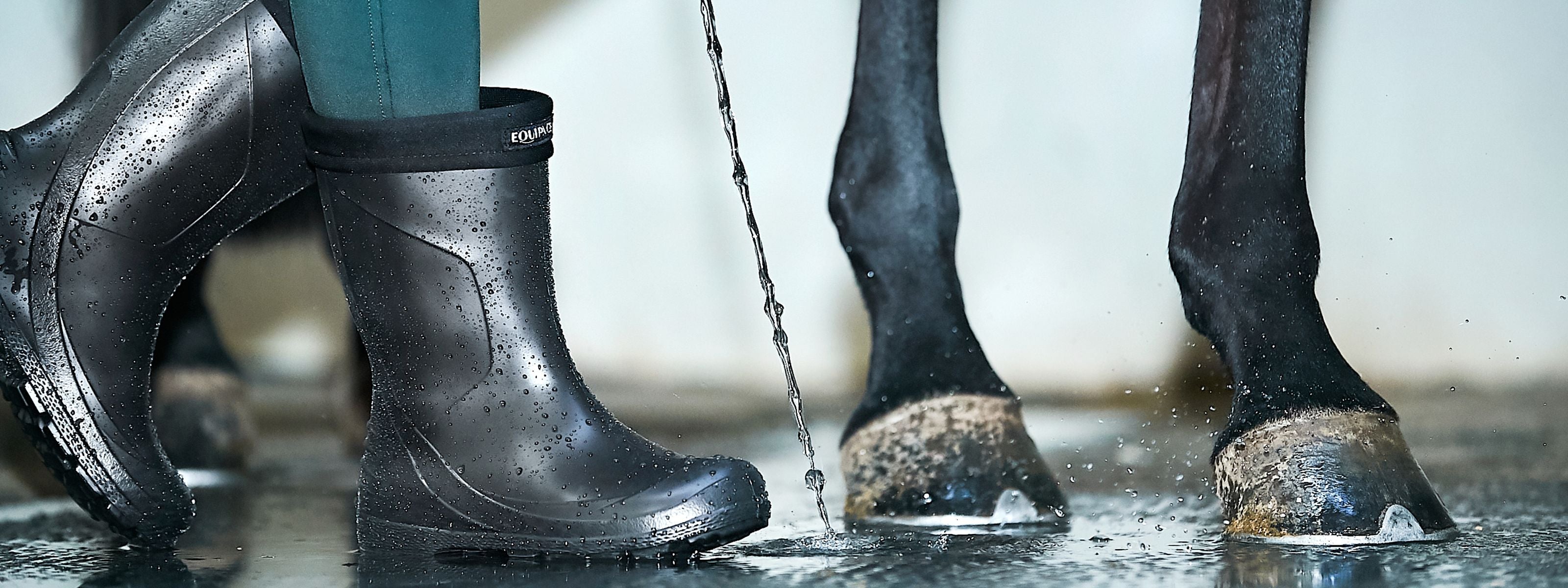 Close-up of black rubber boots and horse hooves in water