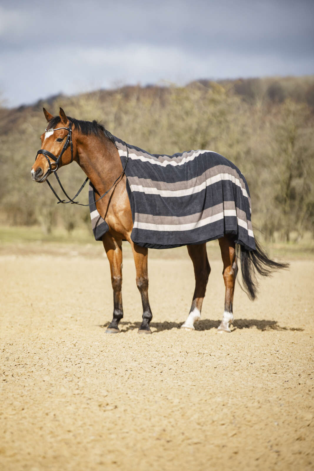 Horse Guard Squared-tæppe