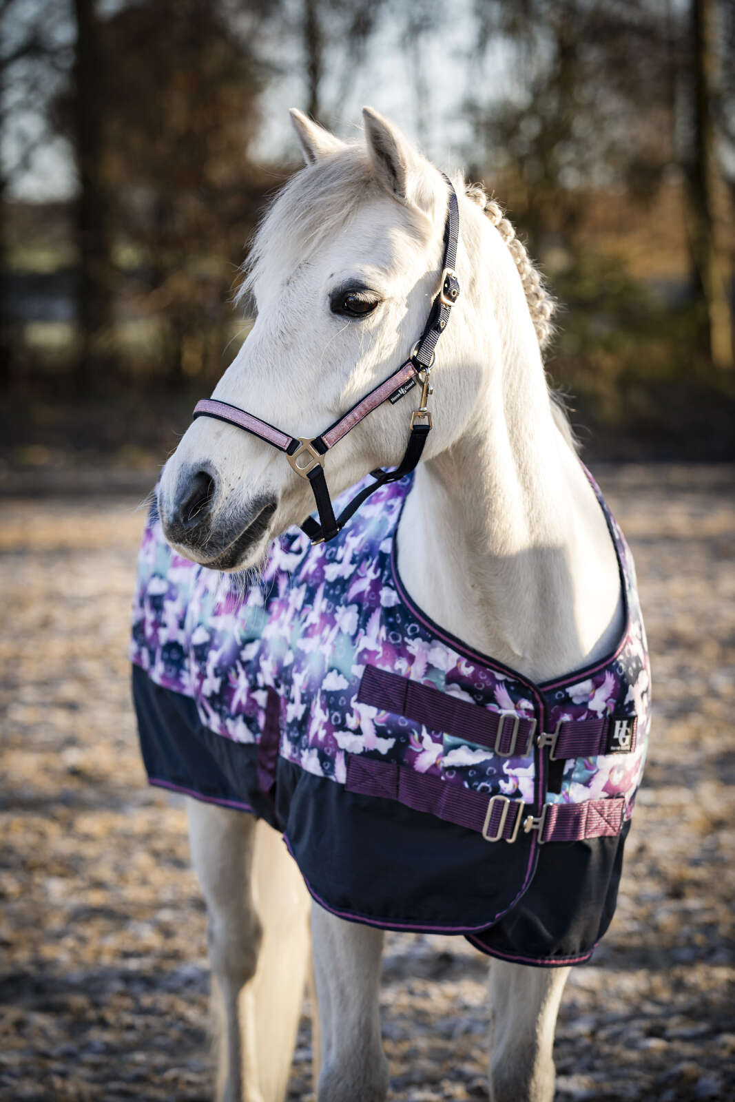 Horse Guard Josh turnout täcke 600D 100g