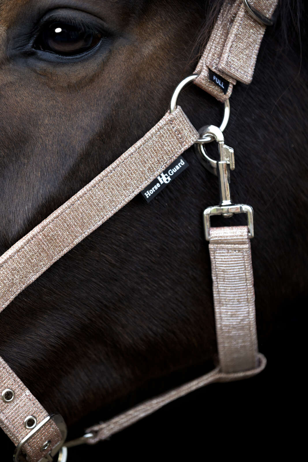 Horse Guard Iowa färgskiftande glittergrimma