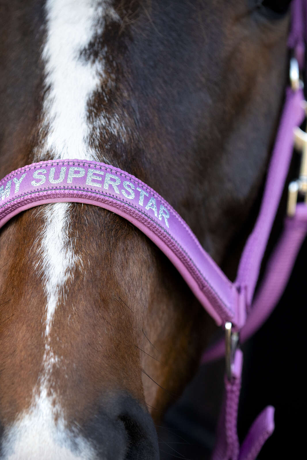 Horse Guard Malva grime