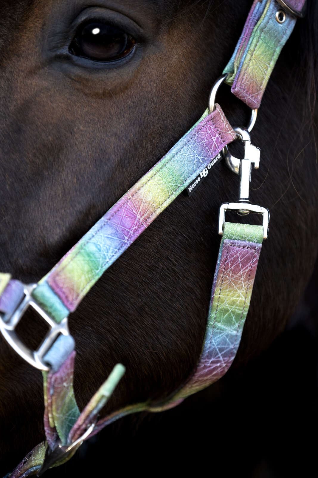 Horse Guard Rockford regnbågsgrimma med glitter