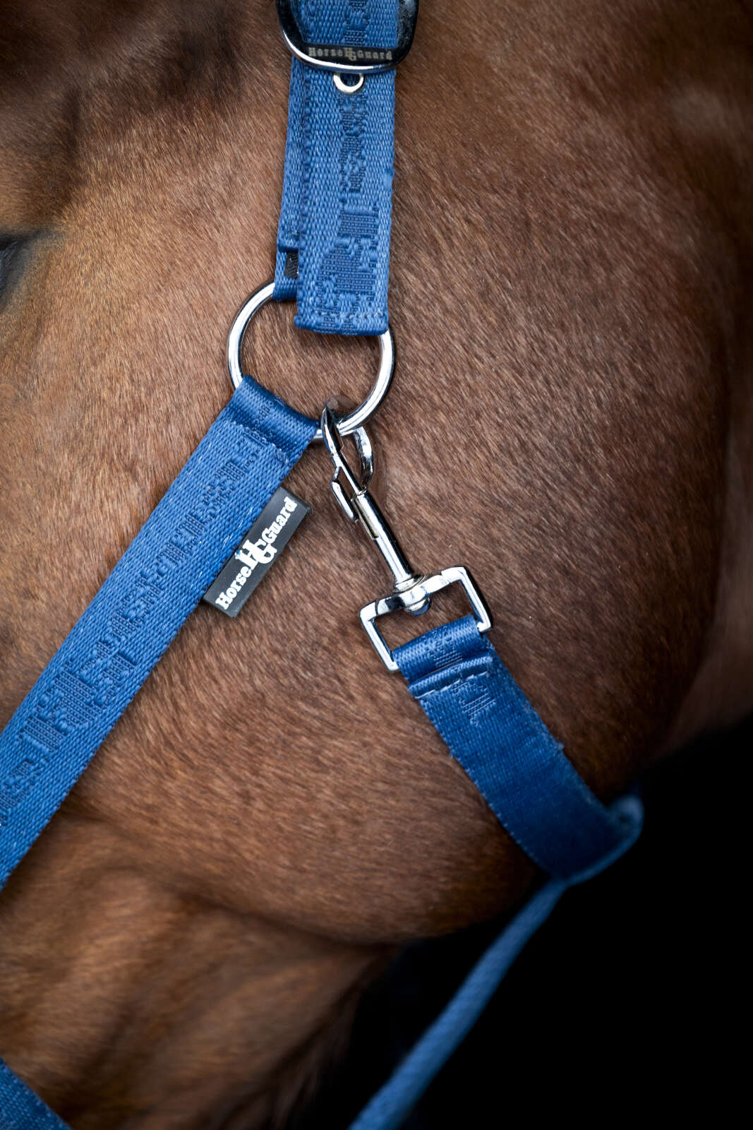 HorseGuard Diya grime 2.0