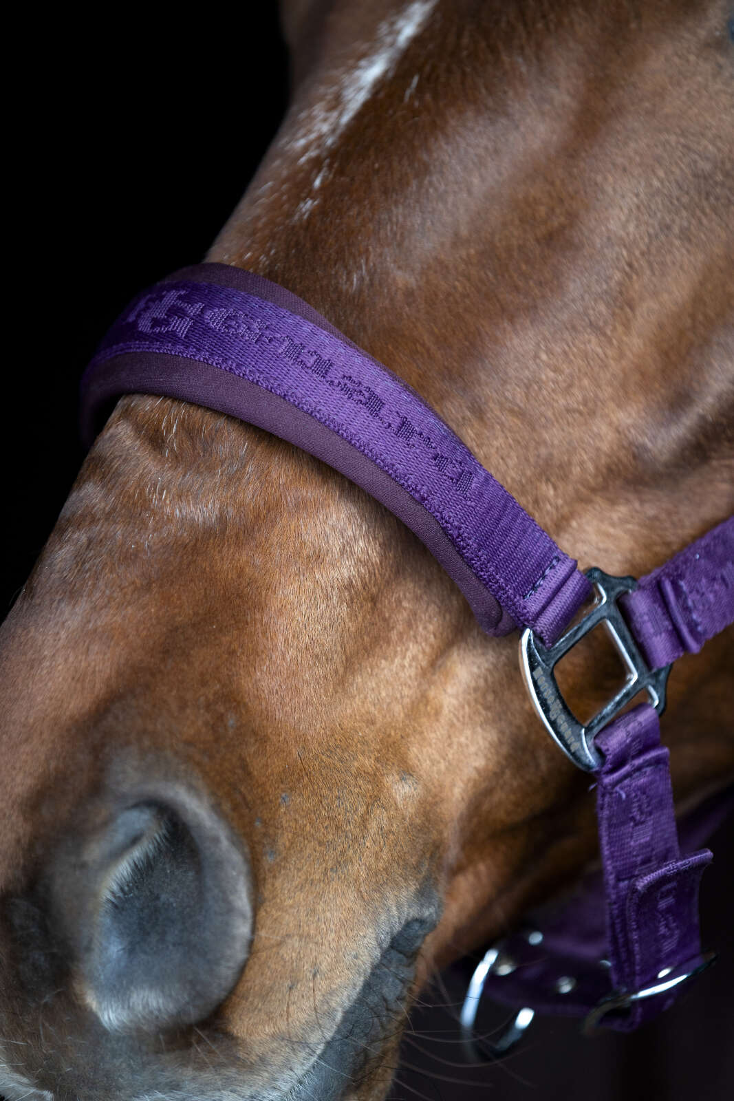 HorseGuard Diya grime 2.0
