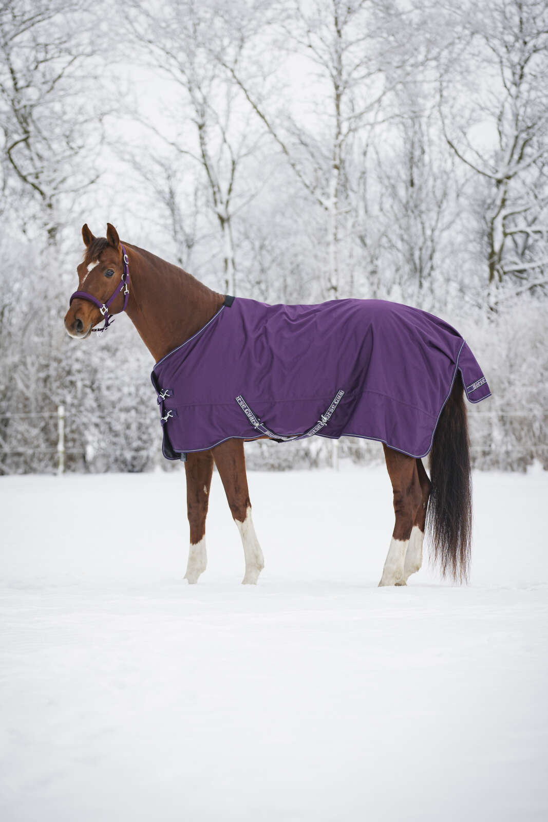 Horse Guard Landon 1200D turnout täcke 200g