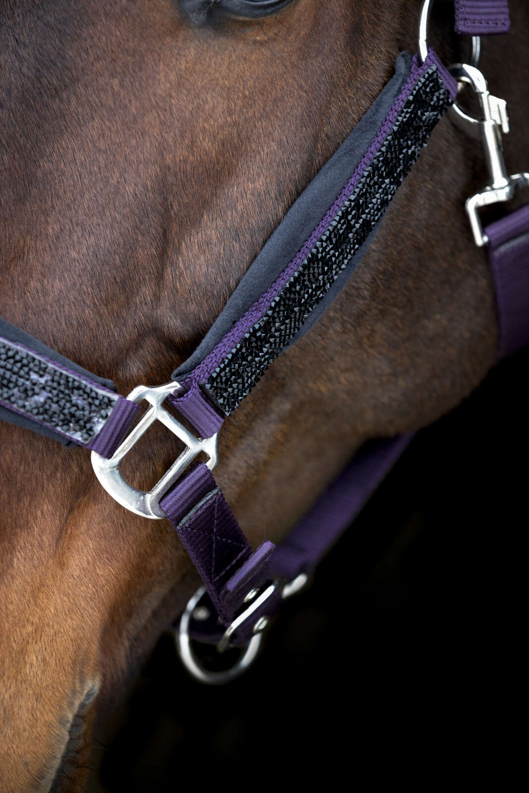 Horse Guard Angel grimma med glitter
