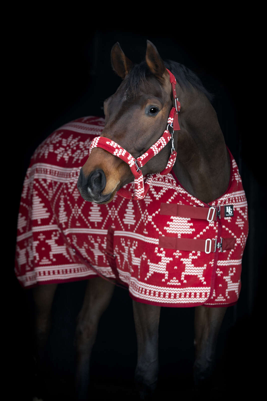 Horse Guard Christmas Halfter