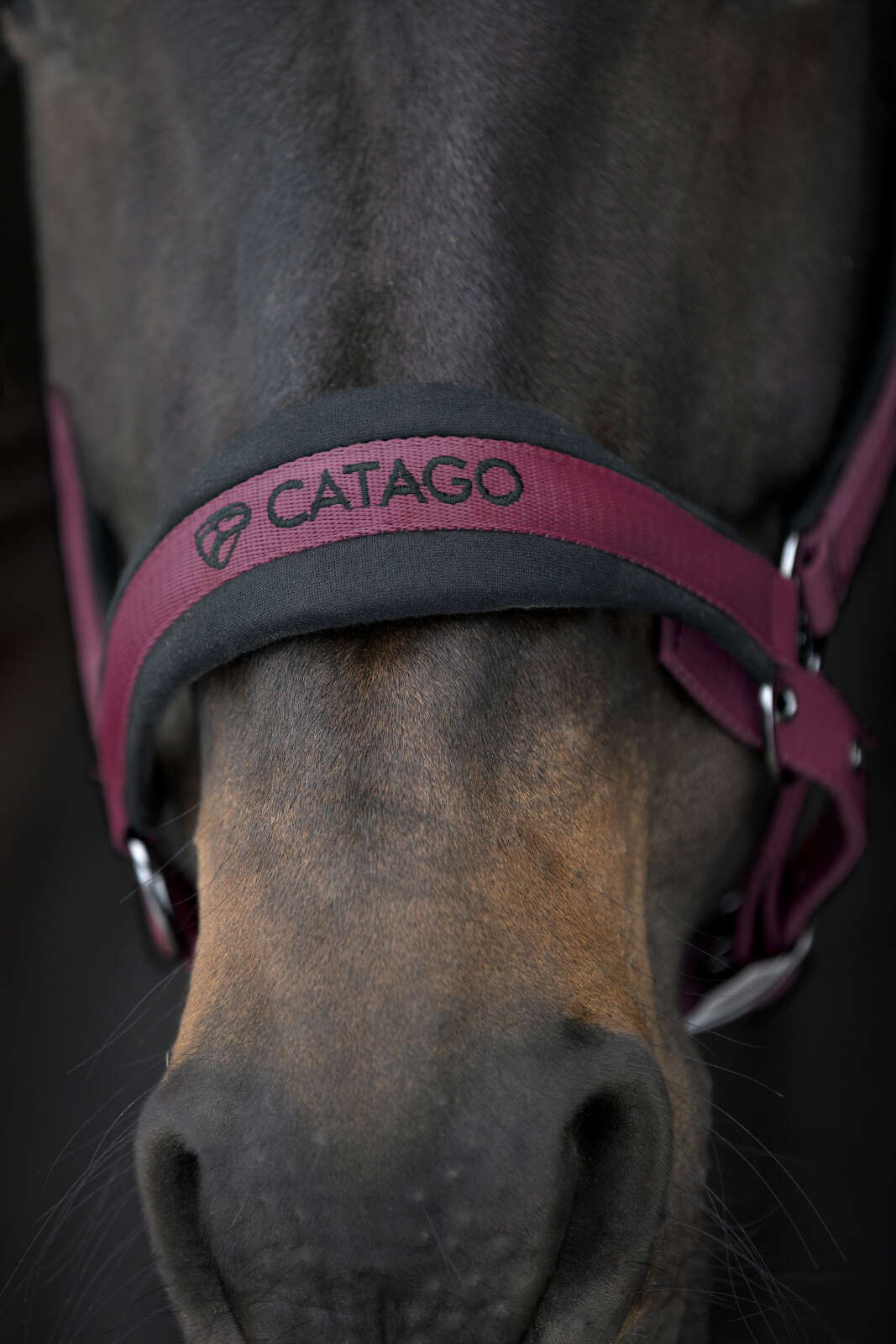 Catago FIR-Tech grimma 2.2