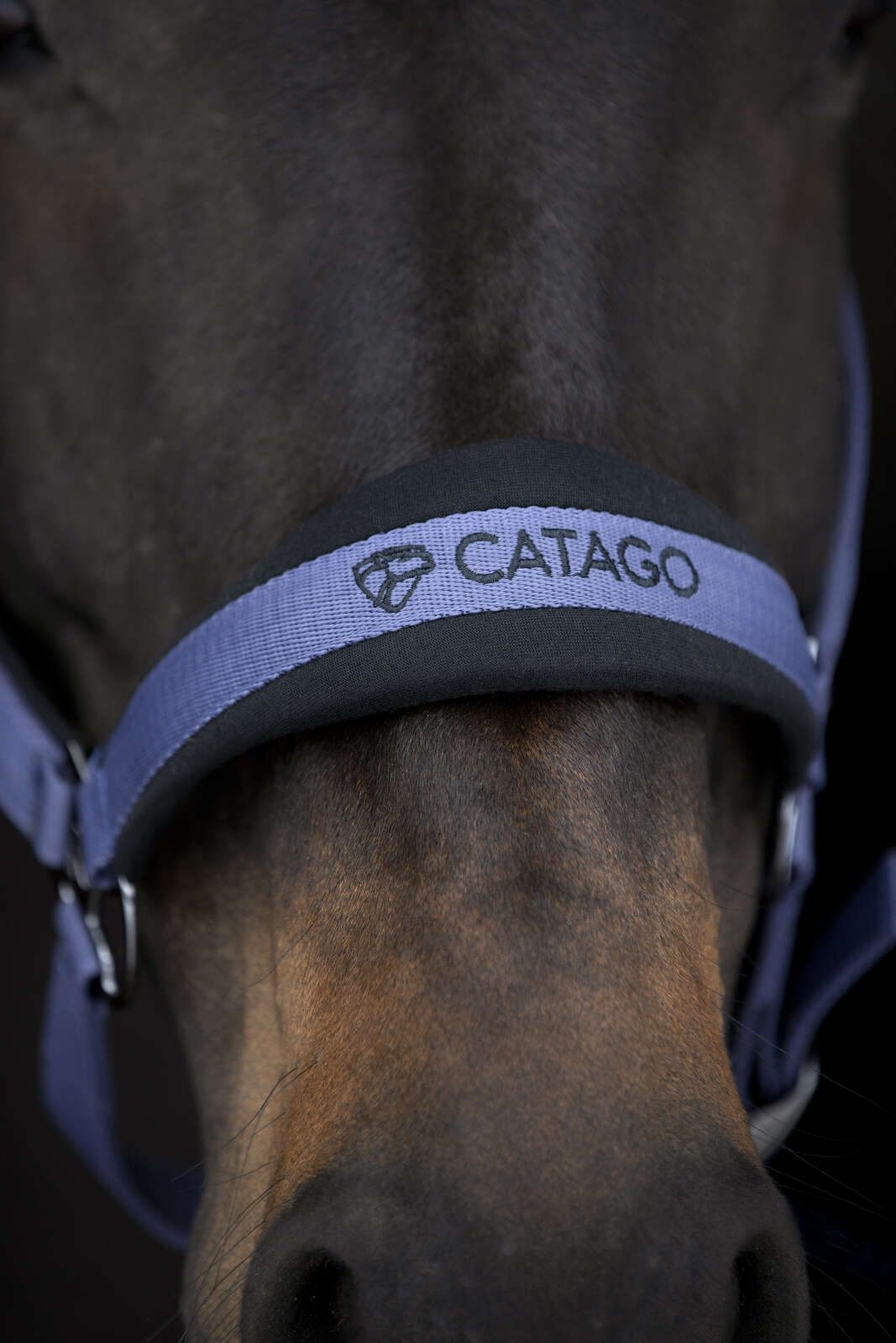 Catago FIR-Tech grimma 2.2