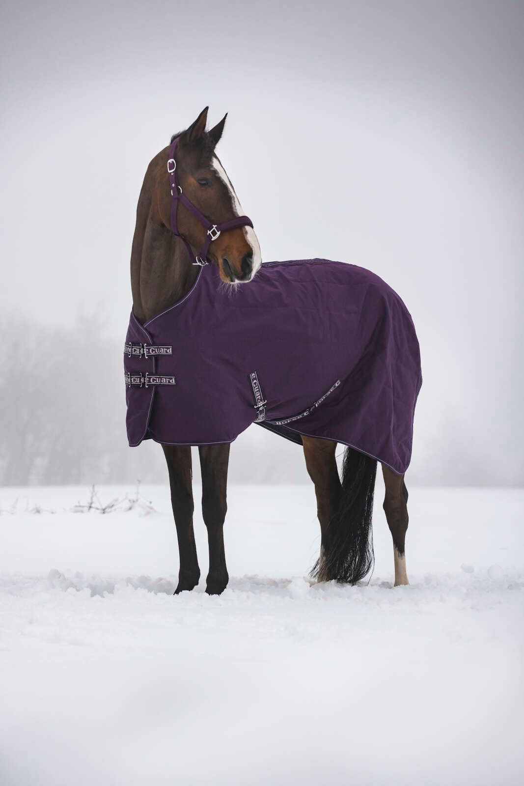 Horse Guard Sophie stable rug 600D 300 g