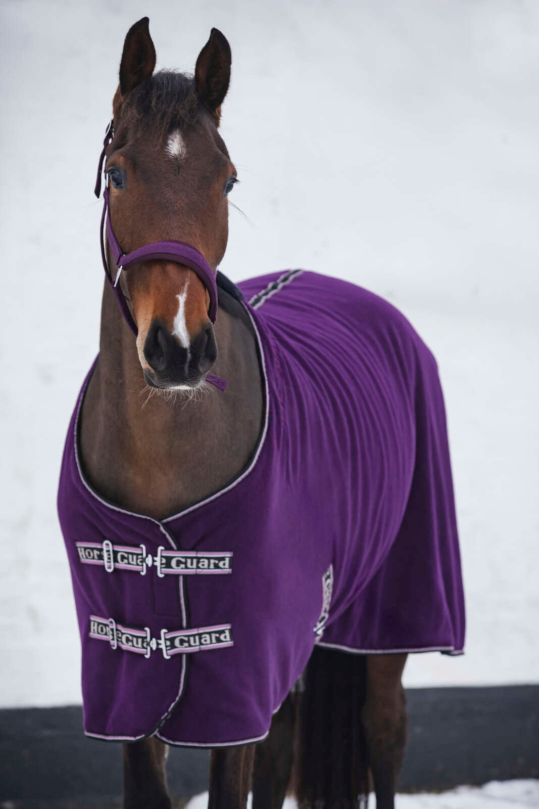 Horse Guard Layne fleece täcke m/teddy