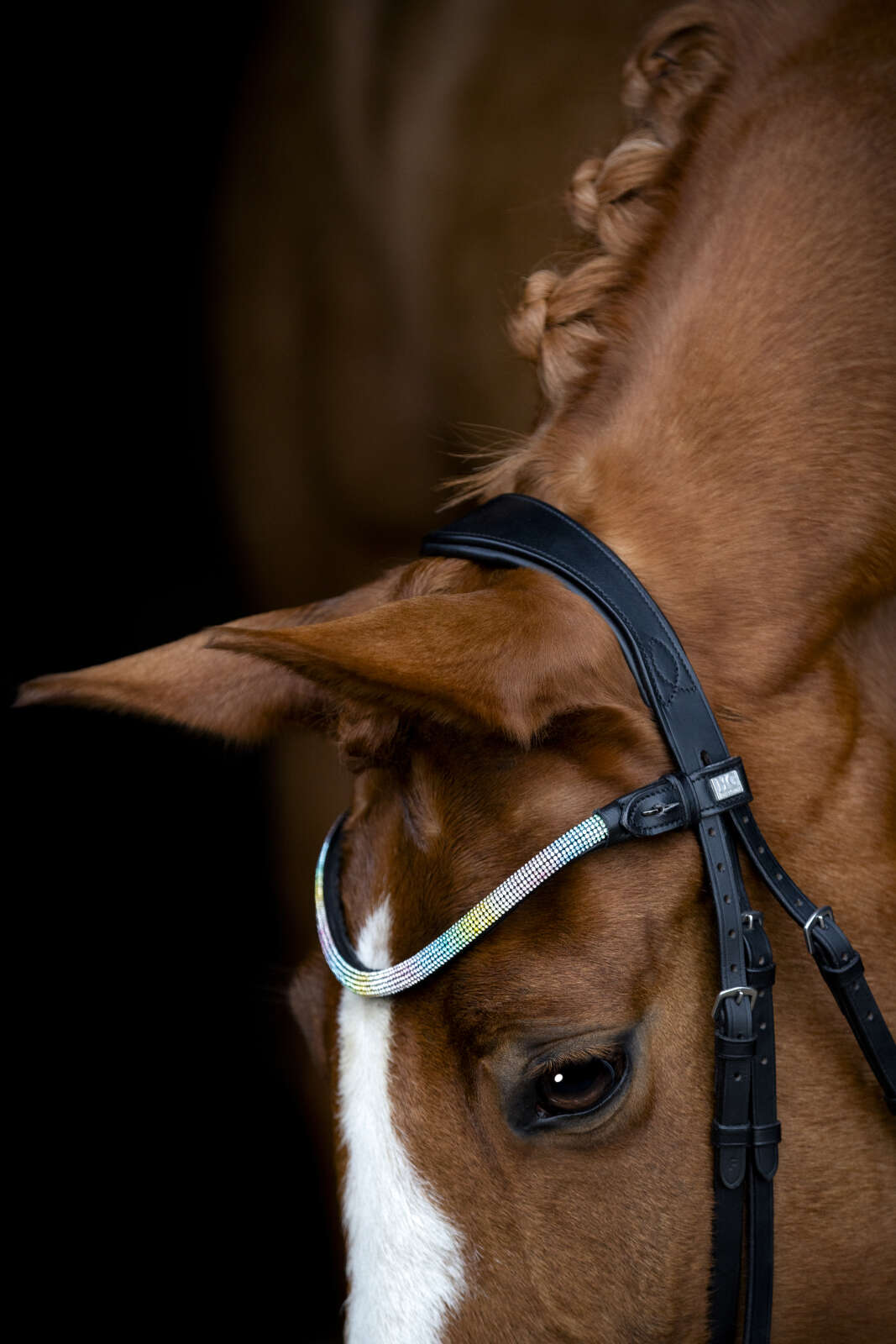 Horse Guard Rainbow pannband