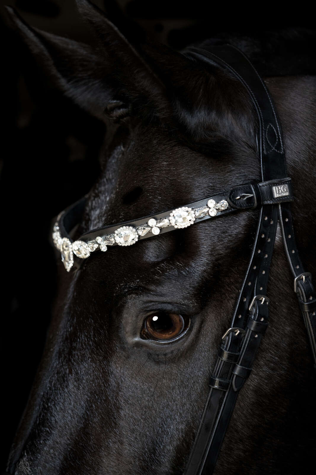 Horse Guard Sunnywale crystal browband