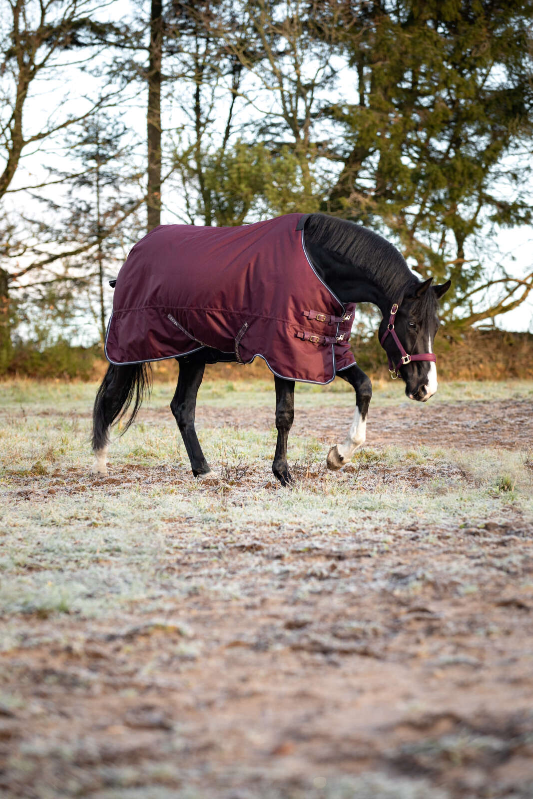 Horse Guard Landon 1200D turnout dekken, standard hals, 200g