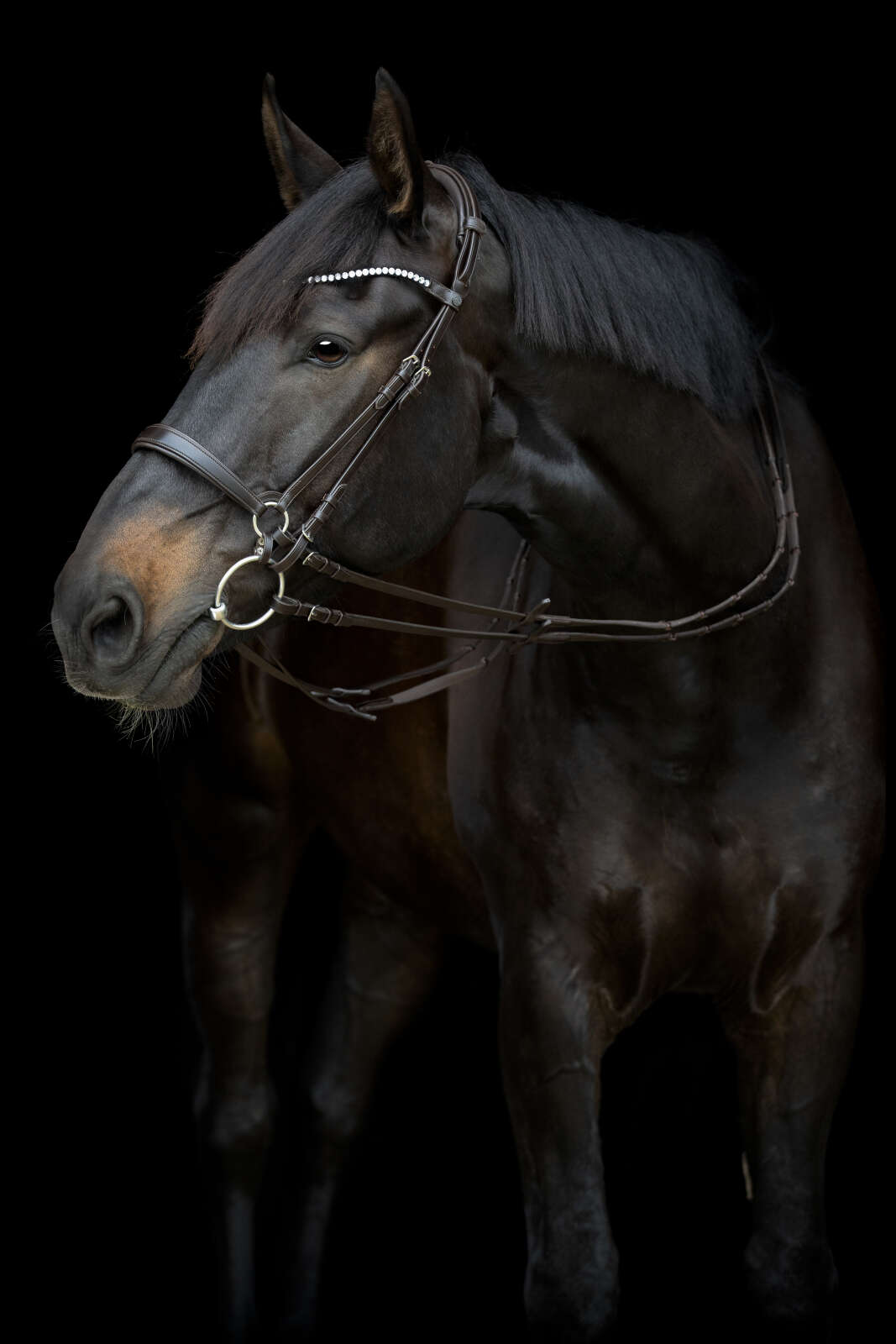 CATAGO Gentle sidostycken