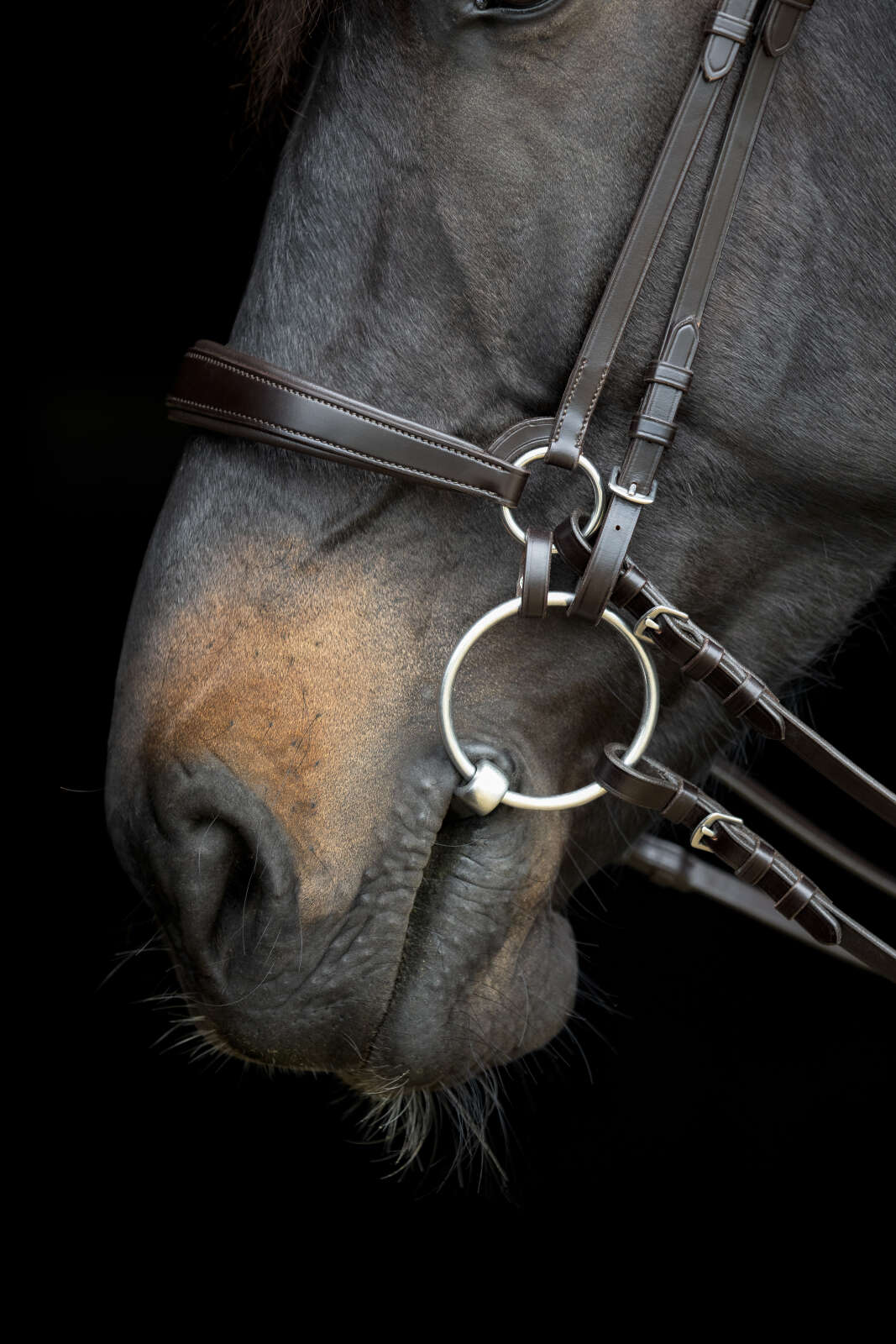 Catago Gentle-samleringe