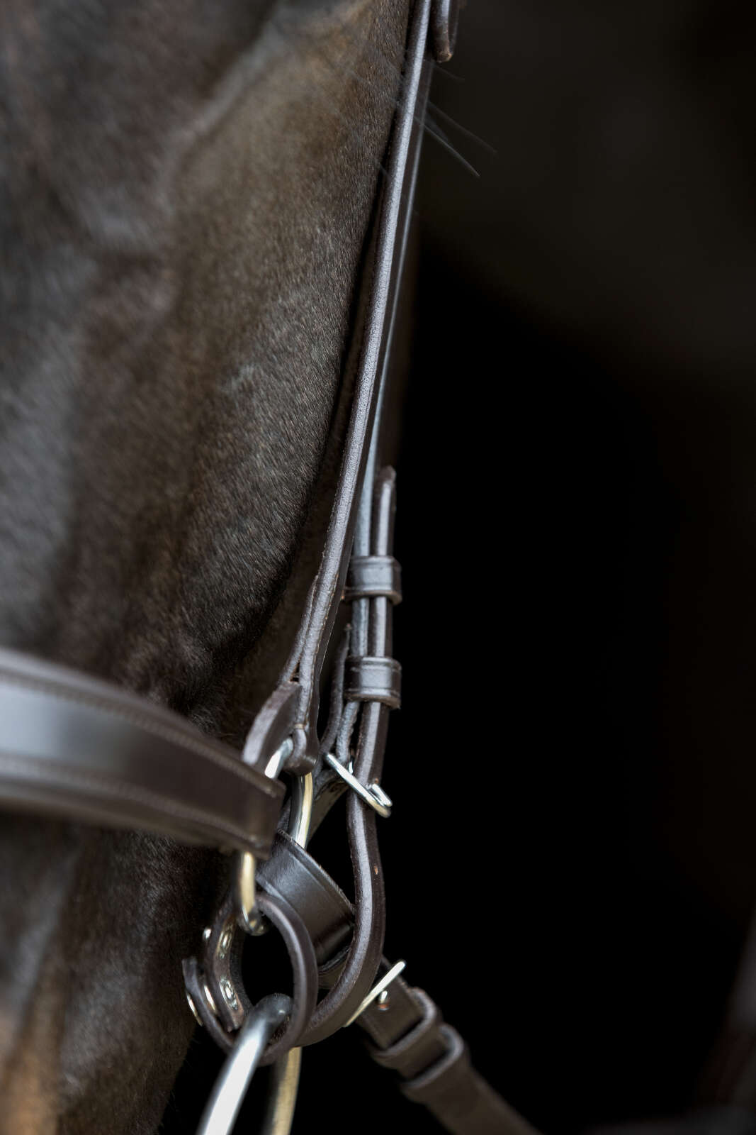 Catago Gentle-samleringe