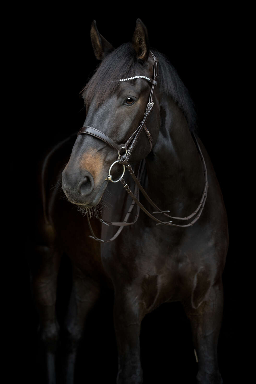 Catago Gentle käkrem