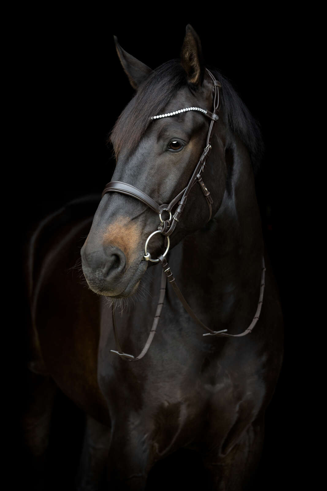 Catago Gentle käkrem