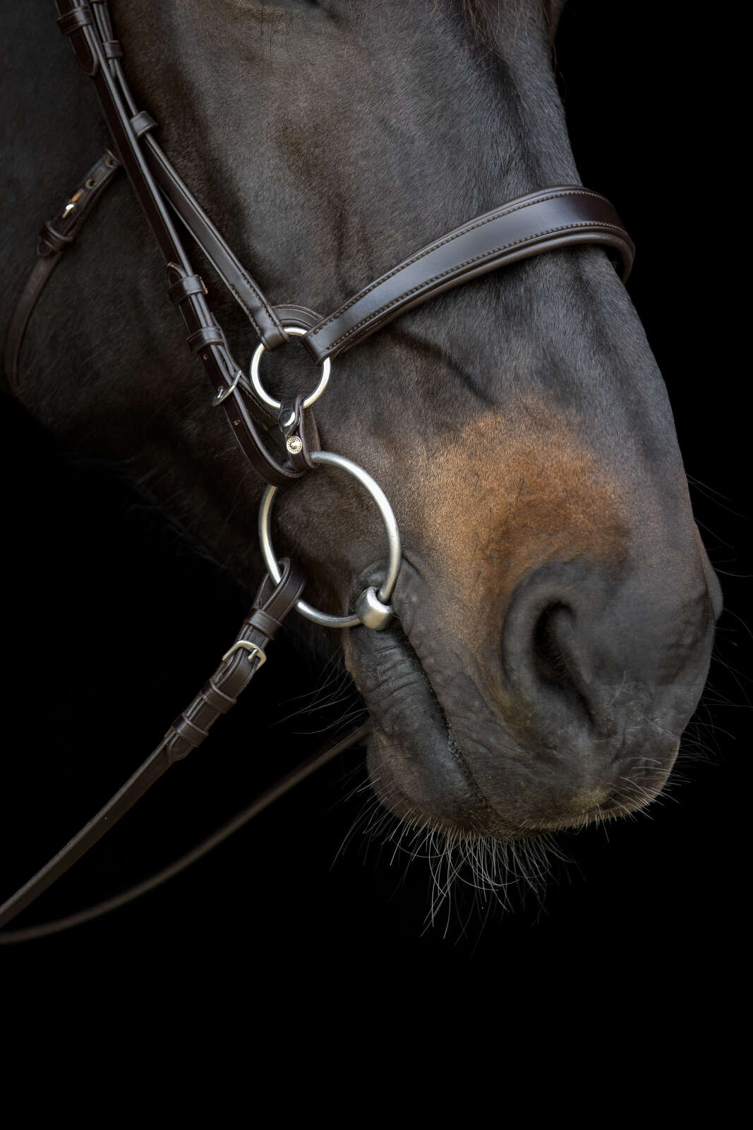 Catago Gentle-samleringe