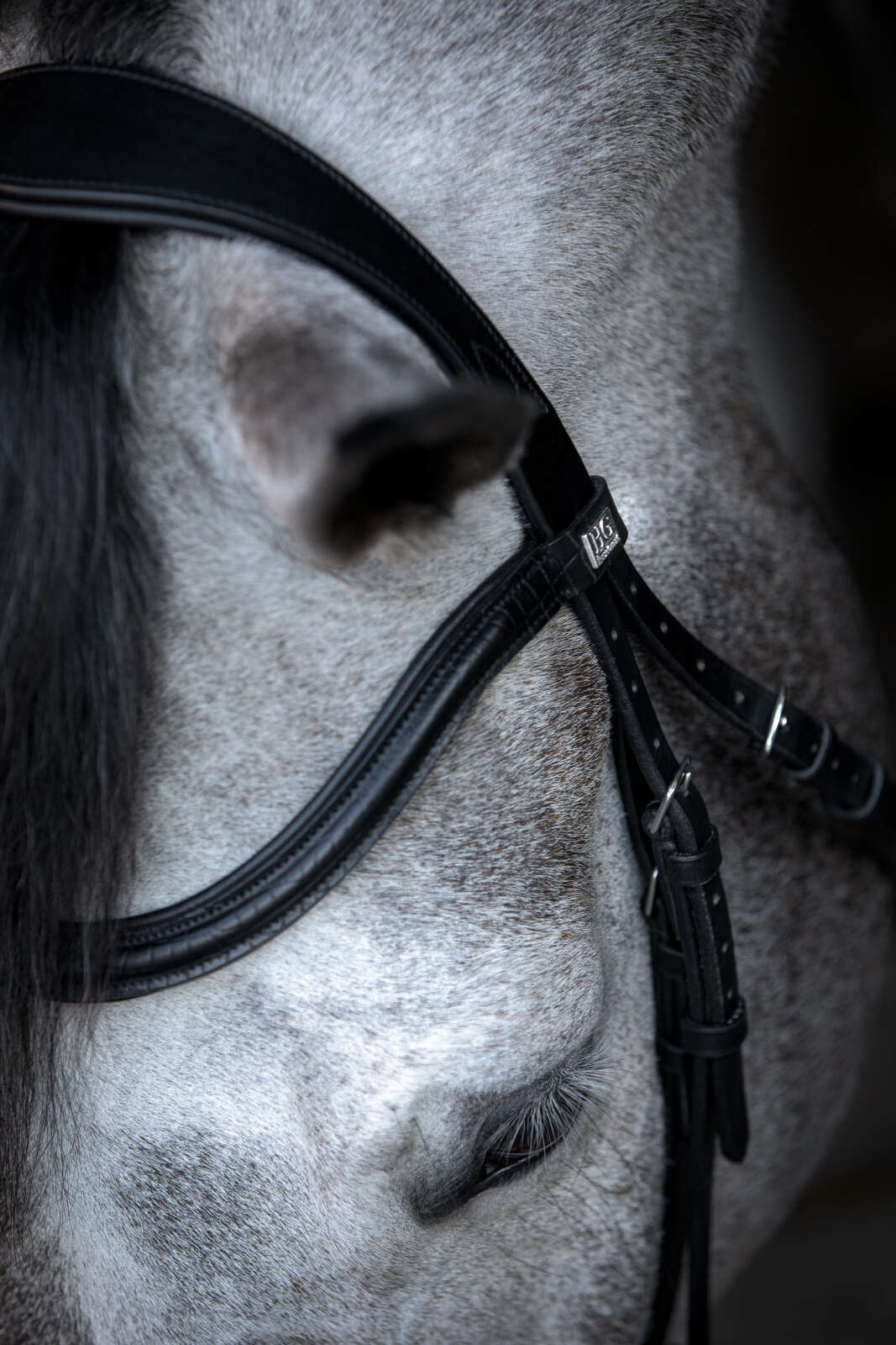 HorseGuard Emi 24.2 bridle with combined noseband