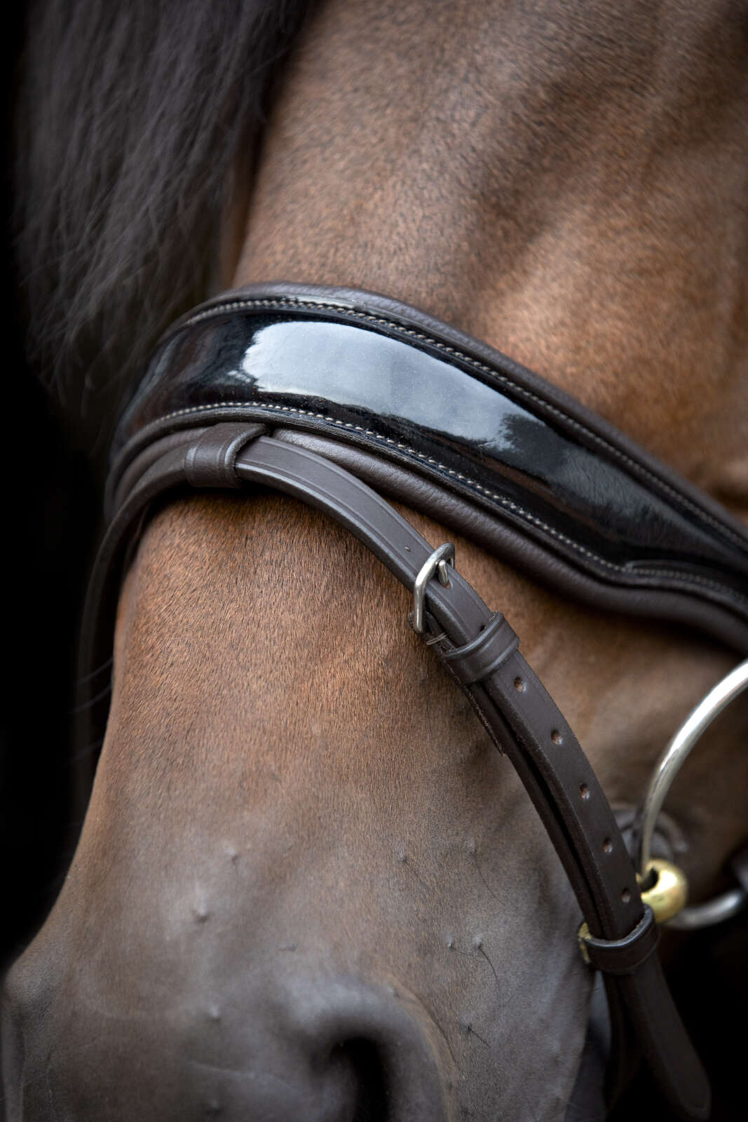 HorseGuard Cryll 24.1 trense komb. nb m/tilbagetræk