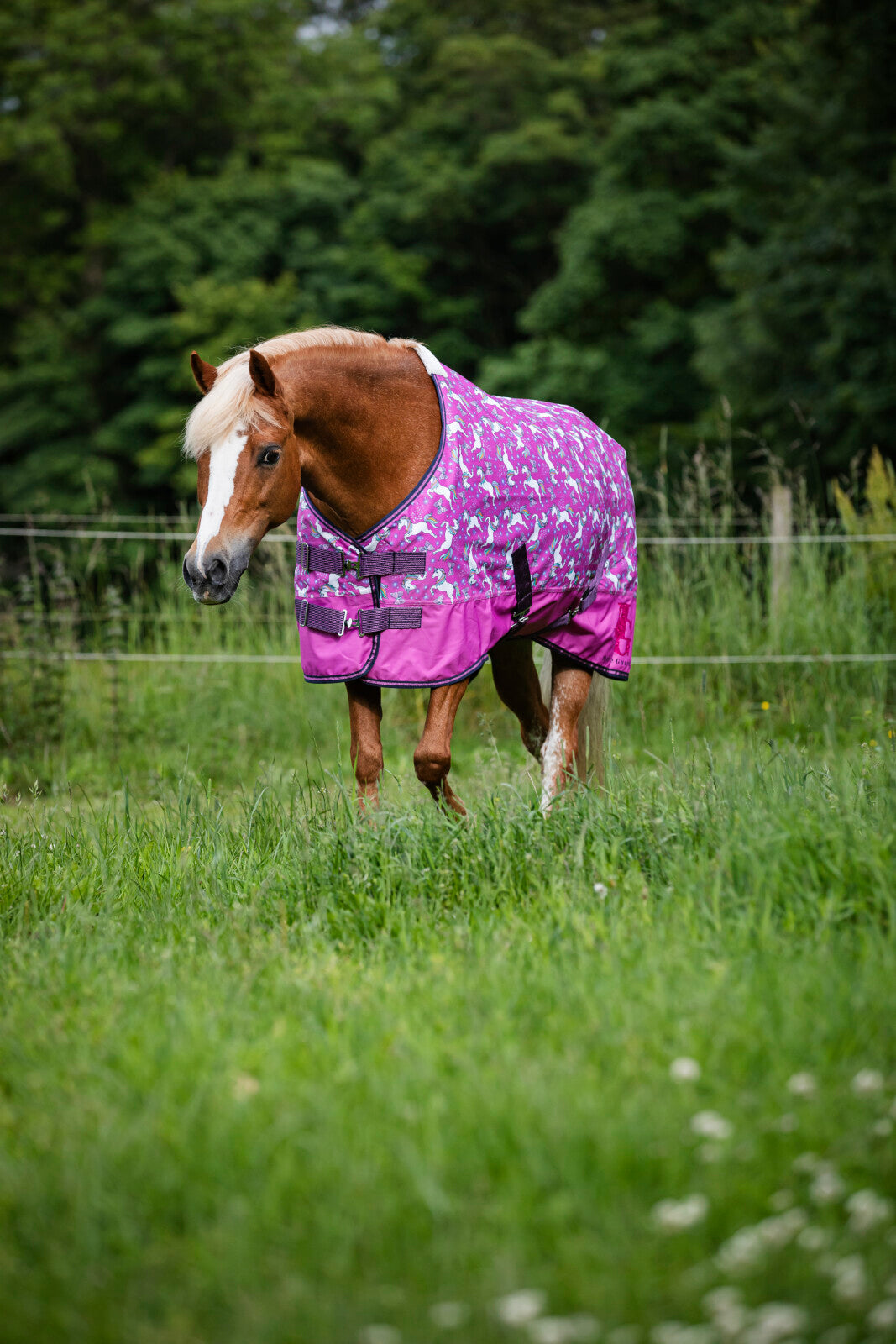 HorseGuard Josh Unicorn Turnout täcke 600D 0g