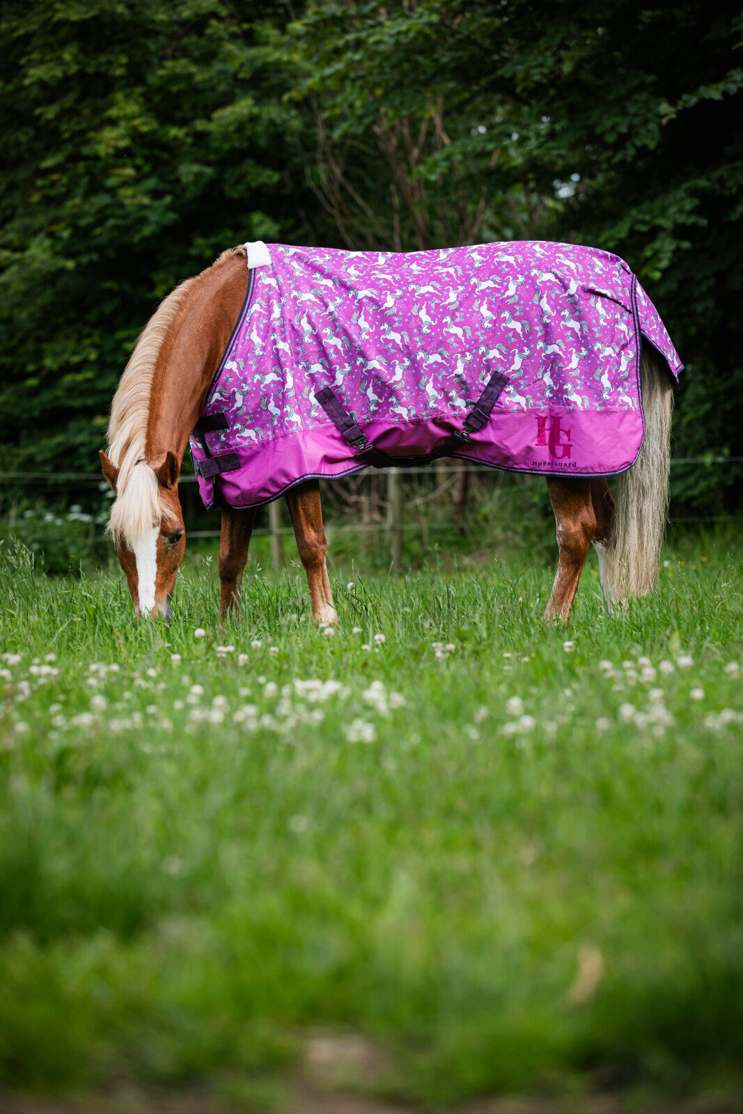 HorseGuard Josh Unicorn Turnout täcke 600D 0g